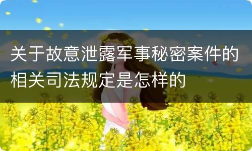 关于故意泄露军事秘密案件的相关司法规定是怎样的