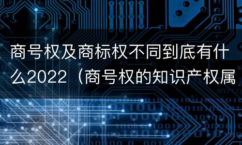 商号权及商标权不同到底有什么2022（商号权的知识产权属性）