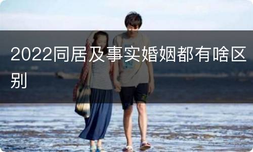 2022同居及事实婚姻都有啥区别
