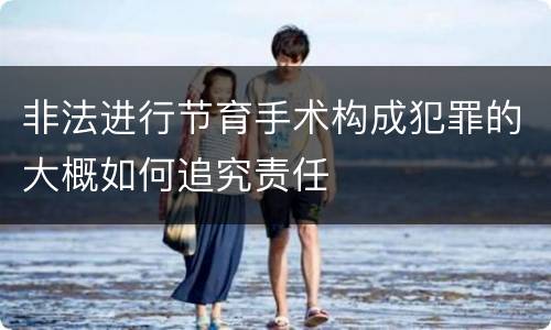 非法进行节育手术构成犯罪的大概如何追究责任