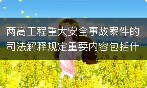 两高工程重大安全事故案件的司法解释规定重要内容包括什么