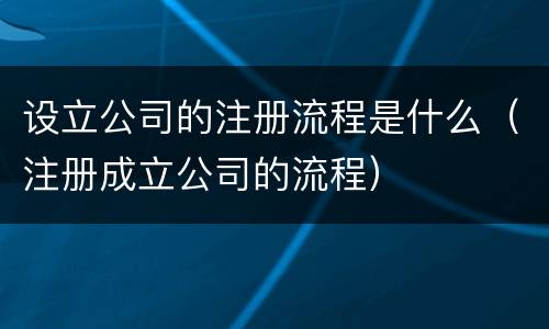 设立公司的注册流程是什么（注册成立公司的流程）