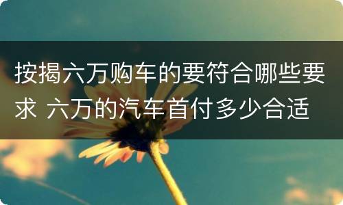 按揭六万购车的要符合哪些要求 六万的汽车首付多少合适