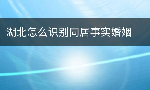 湖北怎么识别同居事实婚姻