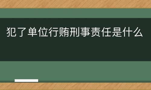 犯了单位行贿刑事责任是什么