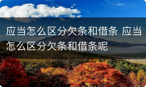 应当怎么区分欠条和借条 应当怎么区分欠条和借条呢