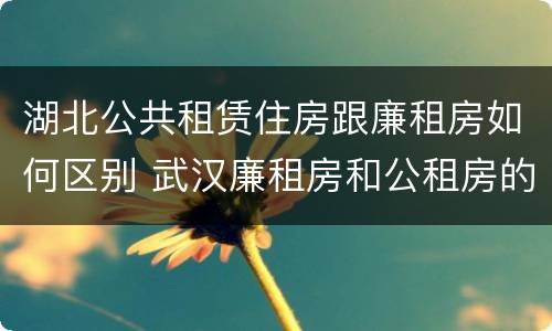 湖北公共租赁住房跟廉租房如何区别 武汉廉租房和公租房的区别