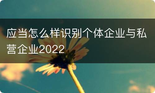 应当怎么样识别个体企业与私营企业2022