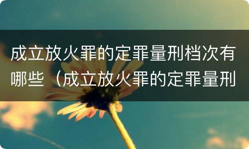 成立放火罪的定罪量刑档次有哪些（成立放火罪的定罪量刑档次有哪些要求）