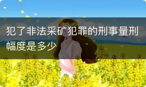 犯了非法采矿犯罪的刑事量刑幅度是多少