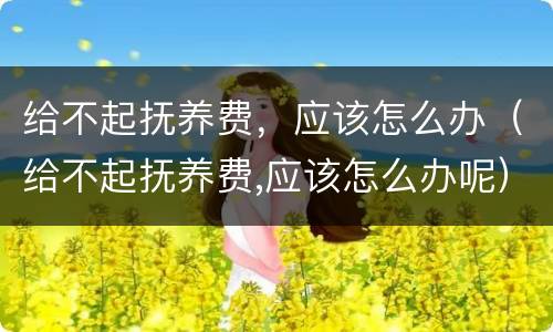 给不起抚养费，应该怎么办（给不起抚养费,应该怎么办呢）