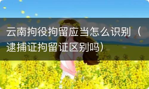 云南拘役拘留应当怎么识别（逮捕证拘留证区别吗）