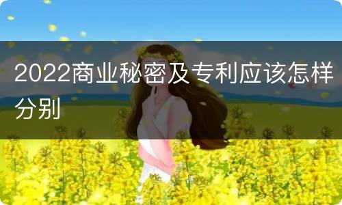 2022商业秘密及专利应该怎样分别