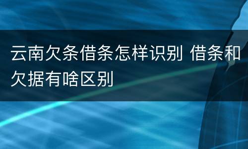 云南欠条借条怎样识别 借条和欠据有啥区别