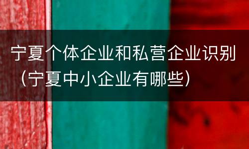 宁夏个体企业和私营企业识别（宁夏中小企业有哪些）