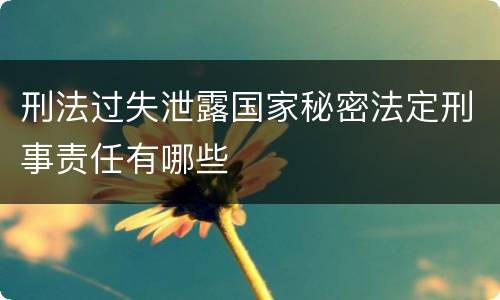 刑法过失泄露国家秘密法定刑事责任有哪些