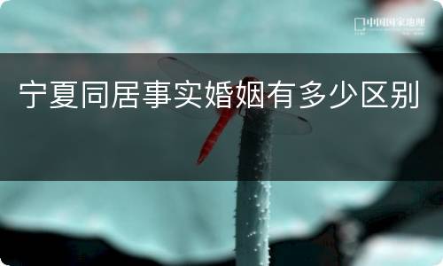 宁夏同居事实婚姻有多少区别