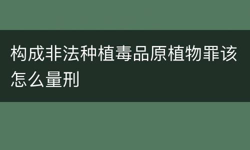 构成非法种植毒品原植物罪该怎么量刑