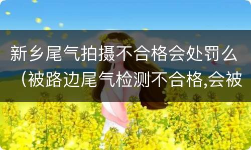 新乡尾气拍摄不合格会处罚么（被路边尾气检测不合格,会被处罚吗）