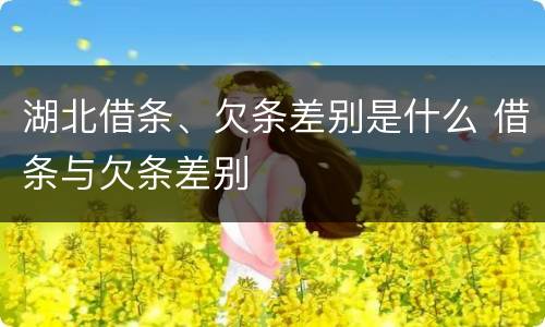 湖北借条、欠条差别是什么 借条与欠条差别