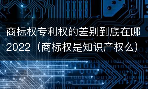 商标权专利权的差别到底在哪2022（商标权是知识产权么）