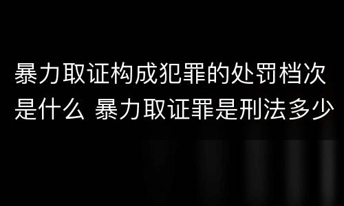 暴力取证构成犯罪的处罚档次是什么 暴力取证罪是刑法多少条
