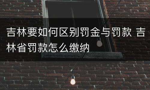 吉林要如何区别罚金与罚款 吉林省罚款怎么缴纳