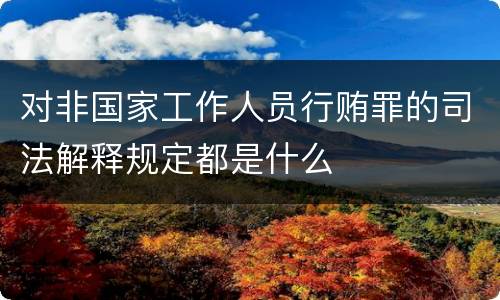 对非国家工作人员行贿罪的司法解释规定都是什么
