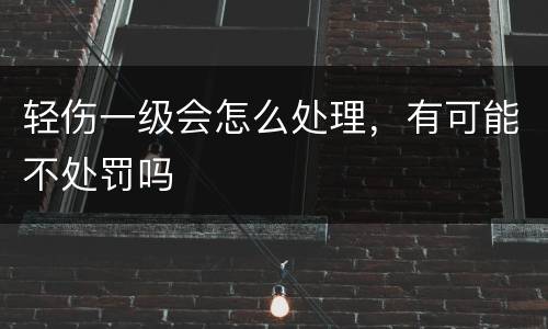 轻伤一级会怎么处理，有可能不处罚吗