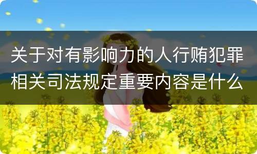 关于对有影响力的人行贿犯罪相关司法规定重要内容是什么