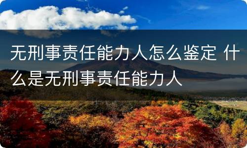 无刑事责任能力人怎么鉴定 什么是无刑事责任能力人