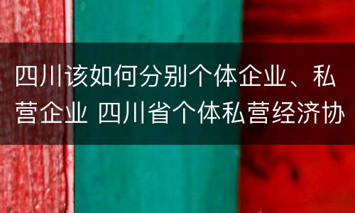 四川该如何分别个体企业、私营企业 四川省个体私营经济协会