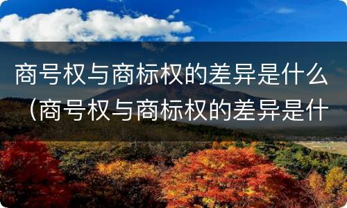 商号权与商标权的差异是什么（商号权与商标权的差异是什么意思）