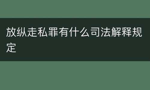 放纵走私罪有什么司法解释规定