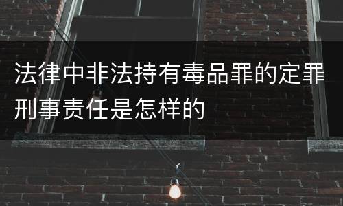 法律中非法持有毒品罪的定罪刑事责任是怎样的