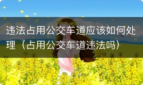 违法占用公交车道应该如何处理（占用公交车道违法吗）