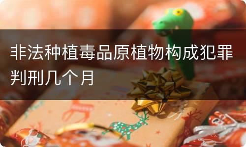 非法种植毒品原植物构成犯罪判刑几个月
