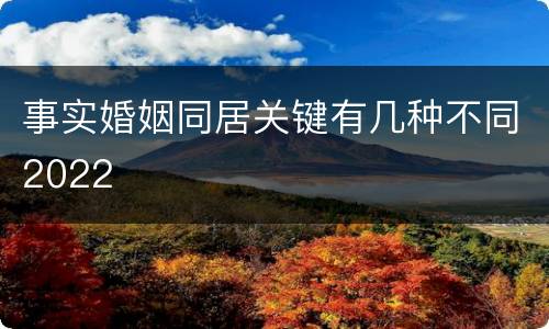 事实婚姻同居关键有几种不同2022