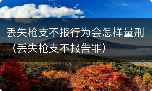 丢失枪支不报行为会怎样量刑（丢失枪支不报告罪）