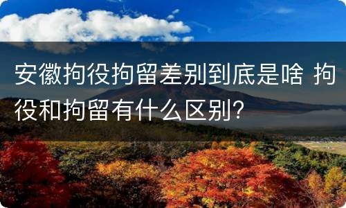 安徽拘役拘留差别到底是啥 拘役和拘留有什么区别?