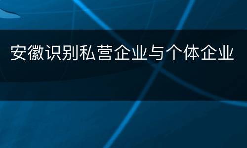 安徽识别私营企业与个体企业