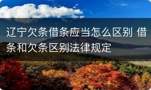 辽宁欠条借条应当怎么区别 借条和欠条区别法律规定