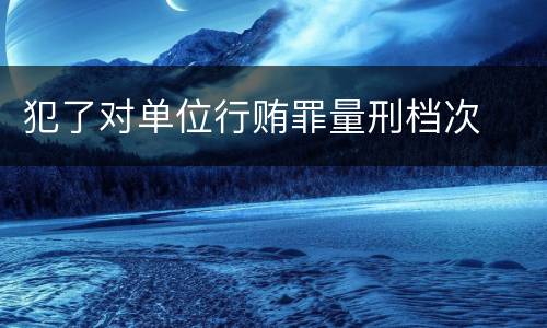 犯了对单位行贿罪量刑档次