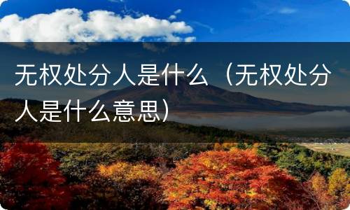 无权处分人是什么（无权处分人是什么意思）