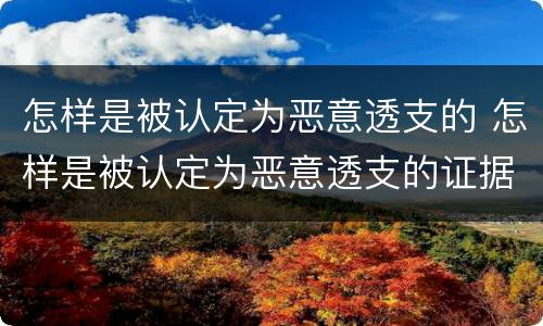 怎样是被认定为恶意透支的 怎样是被认定为恶意透支的证据
