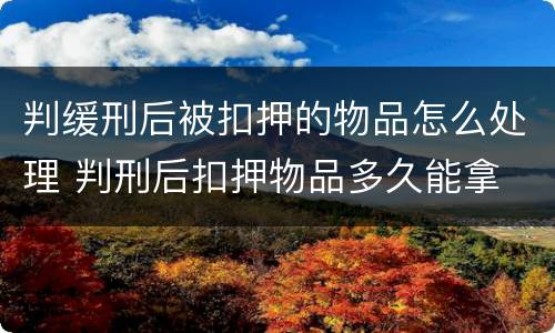 判缓刑后被扣押的物品怎么处理 判刑后扣押物品多久能拿