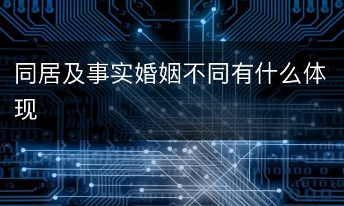 同居及事实婚姻不同有什么体现