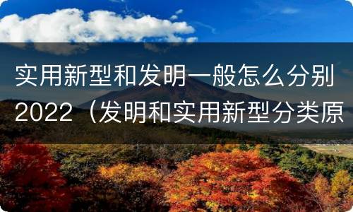 实用新型和发明一般怎么分别2022（发明和实用新型分类原则）