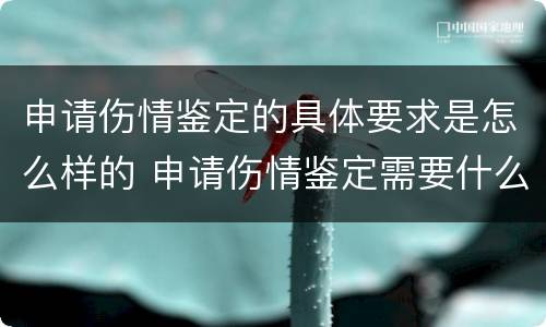 申请伤情鉴定的具体要求是怎么样的 申请伤情鉴定需要什么材料