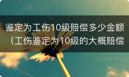 鉴定为工伤10级赔偿多少金额（工伤鉴定为10级的大概赔偿多少钱）